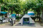 Parcela Standard (40M2) : Coche + Tienda/Caravana O Autocaravana + Electricidad Parcela Standard (40M2) : Coche + Tienda/Caravana O Autocaravana + Electricidad
