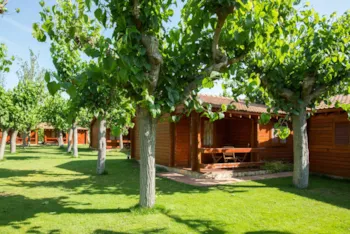 Mietunterkunft - Bungalow Mestral - Camping La Llosa