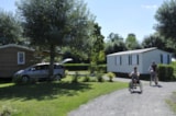 Foto #18 van Flower Camping du Port Caroline