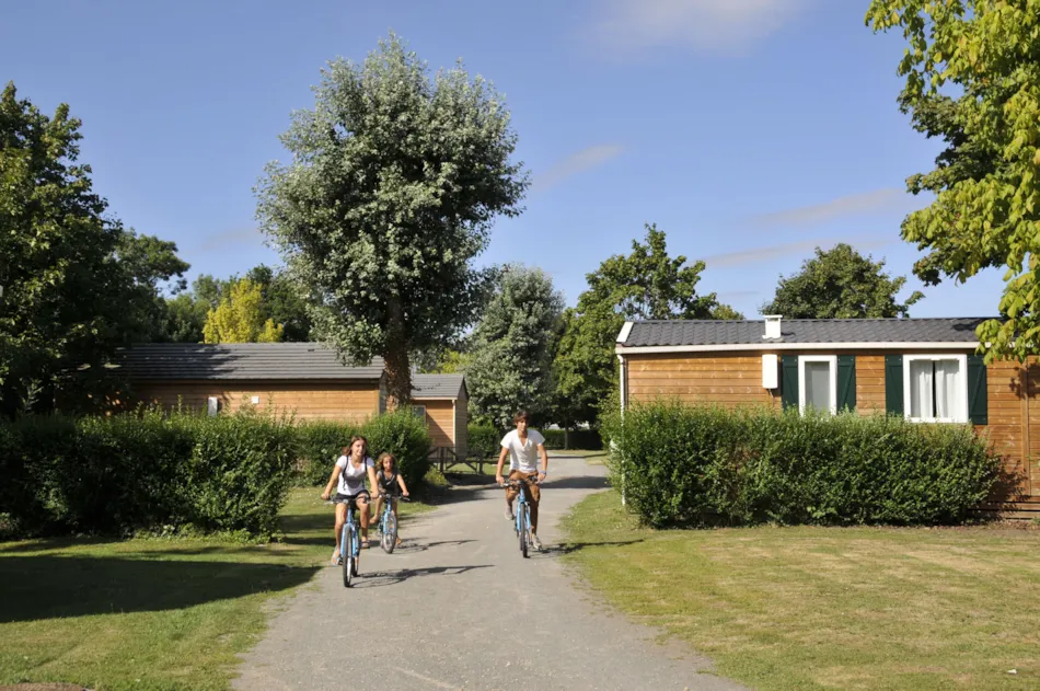 Flower Camping du Port Caroline