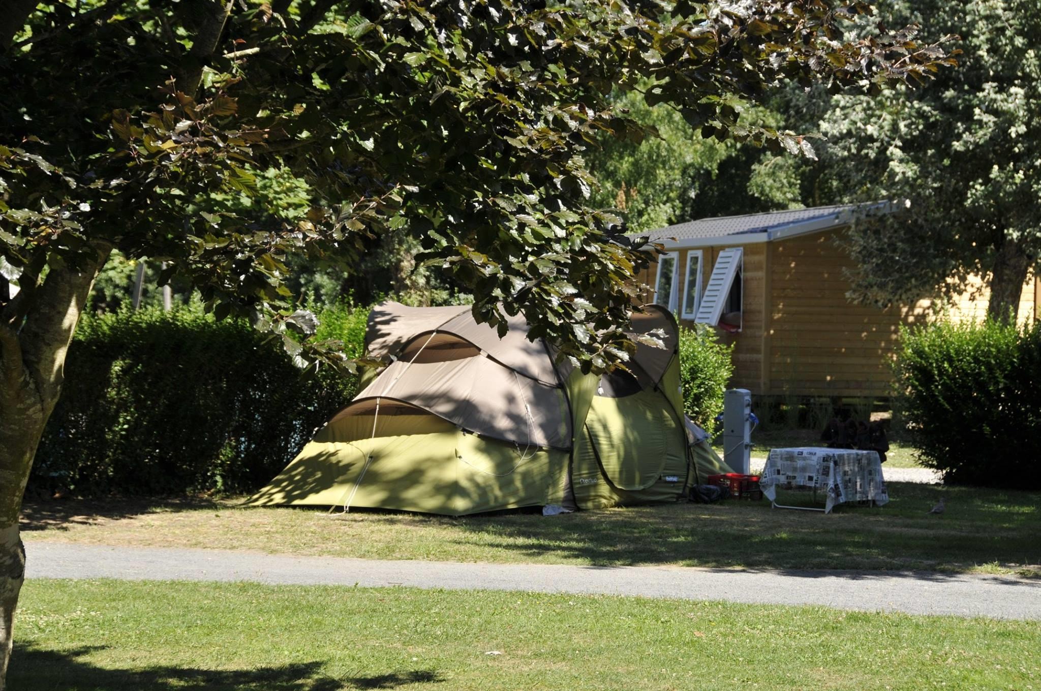 Flower Camping du Port Caroline — Photo 4