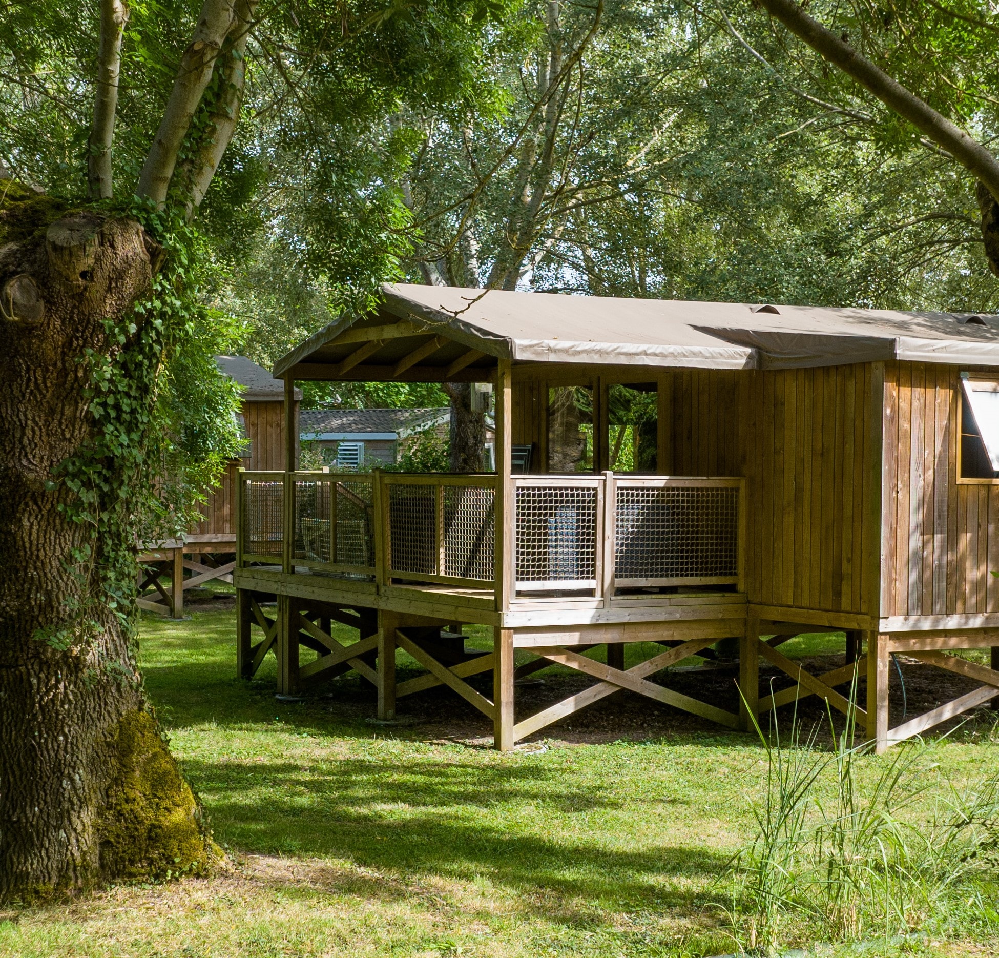 Flower Camping du Port Caroline — Photo 10