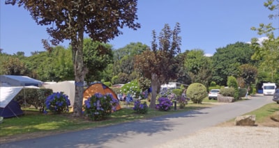 Comfort Package 80 to 100m²: tent, caravan, or motorhome / 1 car / electricity — 2
