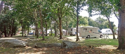 Comfort Package 80 to 100m²: tent, caravan, or motorhome / 1 car / electricity — 3