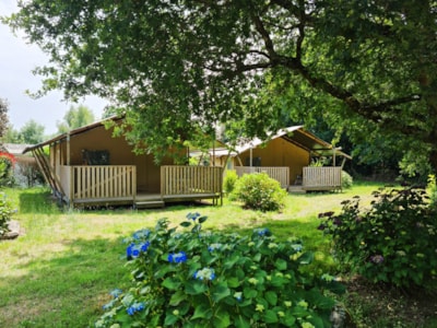 Freeflower Standard 28m² - 2 bedrooms + 8m² covered terrace - without bathroom — 2