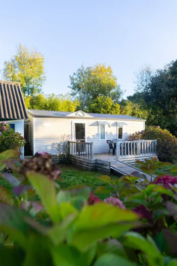 Location - Mobil-Home Classique 1 Chambre Pmr S - Camping Paradis Domaine de Bel Air