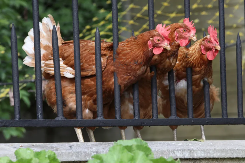 Camping de la Baie de Somme