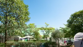 Stellplatz fr Zelt, Wohnmobil oder Wohnwagen