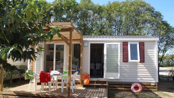 KENTUCKY Climatis Premium