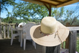 IDAHO Climatis Classic