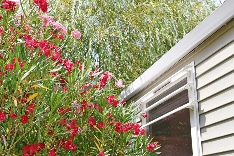 Safari Climatisé Classic