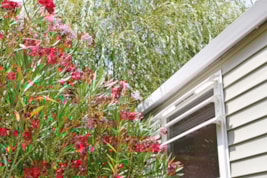 SAFARI CLASSIC mit Klimaanlage