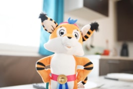 ARKANSAS Climatis Classic