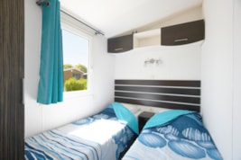 ARKANSAS Climatis Classic