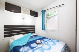 ARKANSAS Climatis Classic