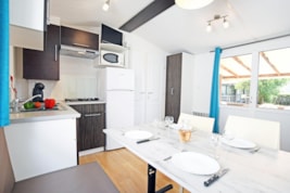 ARKANSAS Climatis Classic