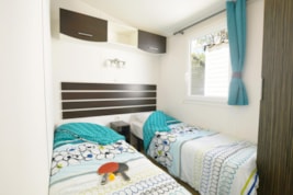 ARKANSAS Climatis Classic