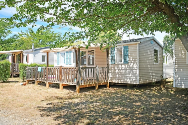 ARKANSAS Climatis Classic