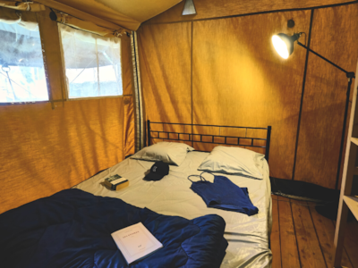 Lodge COSY