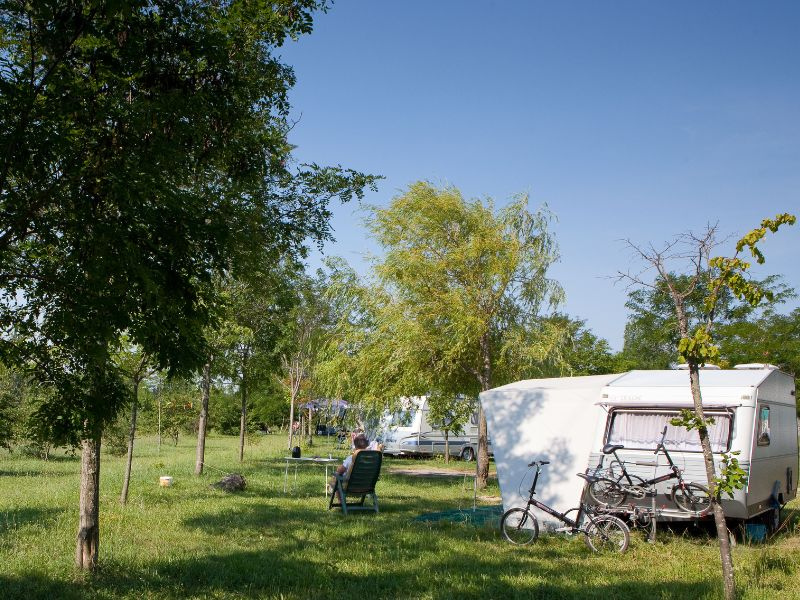 Emplacement Confort XL Tente/Van/Caravane/Camping-Car (avec électricité)