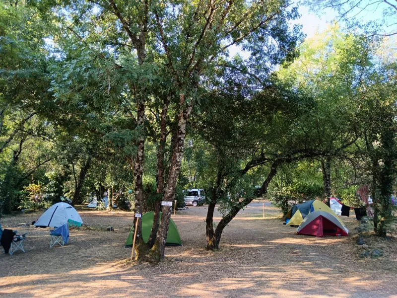 Ludo Camping