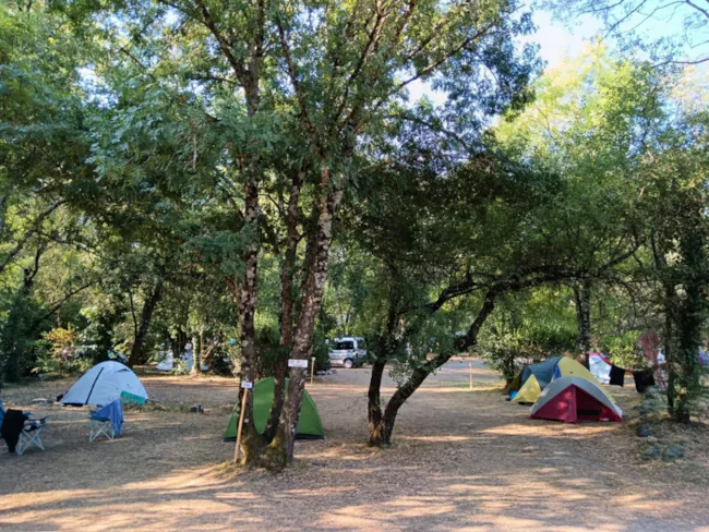 Ludo Camping - image n°4 - Camping Direct