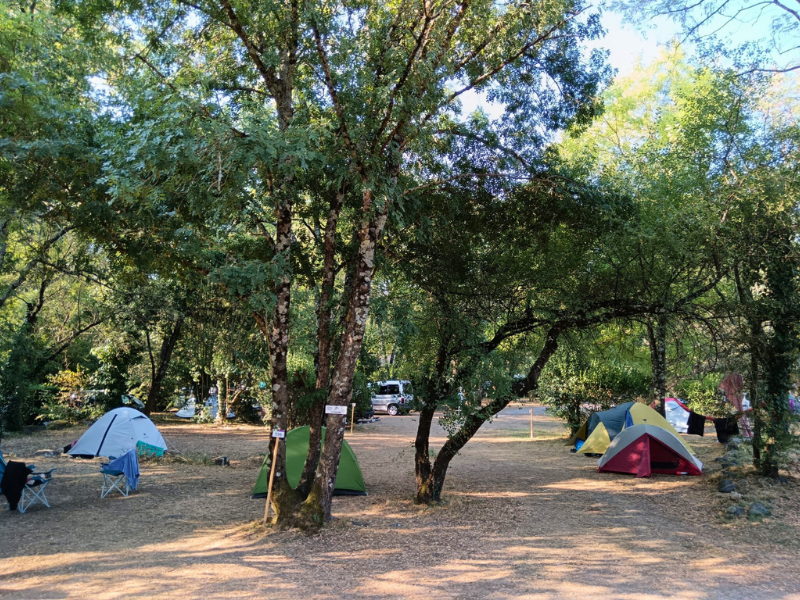 Ludo Camping — Photo 4