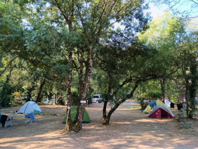 Ludo Camping