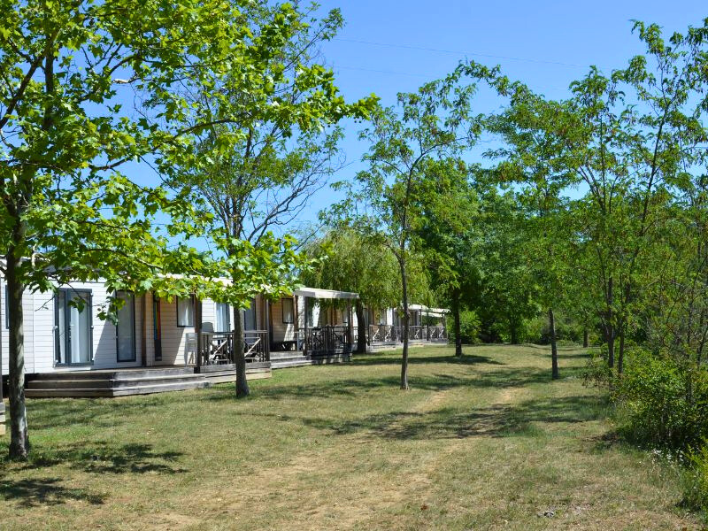Ludo Camping — Photo 8