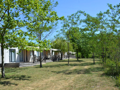 Ludo Camping