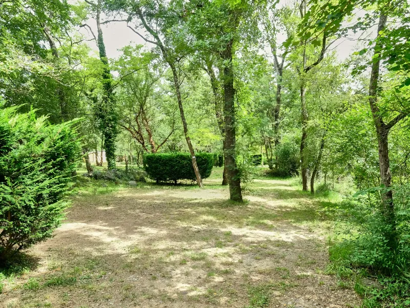 Emplacement Confort Large Tente/Van/Caravane/Camping-Car (Avec Électricité)