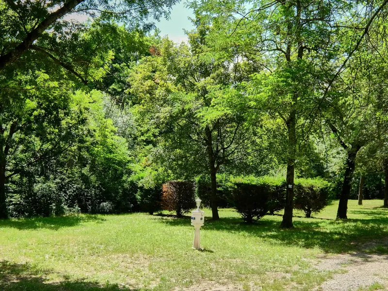 Emplacement Confort Medium Tente / Van < 6M (Avec Electricité)