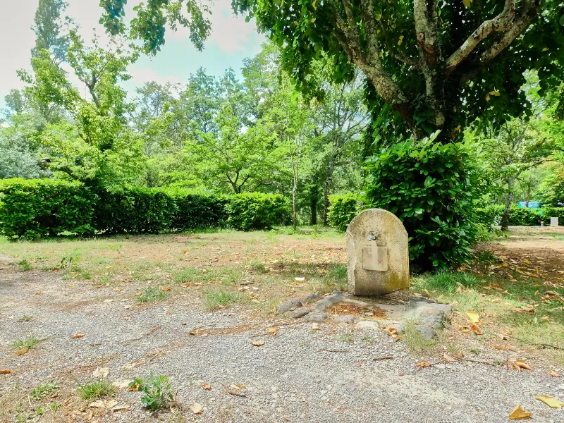 Emplacement Confort Xl Tente/Van/Caravane/Camping-Car (Avec Électricité)