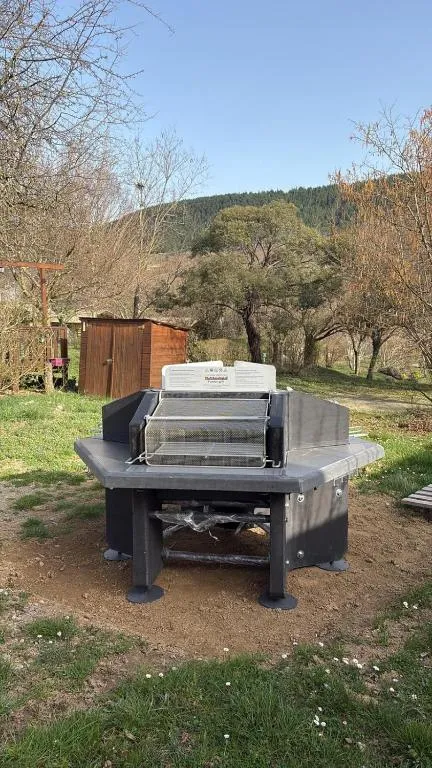 Ludo Camping
