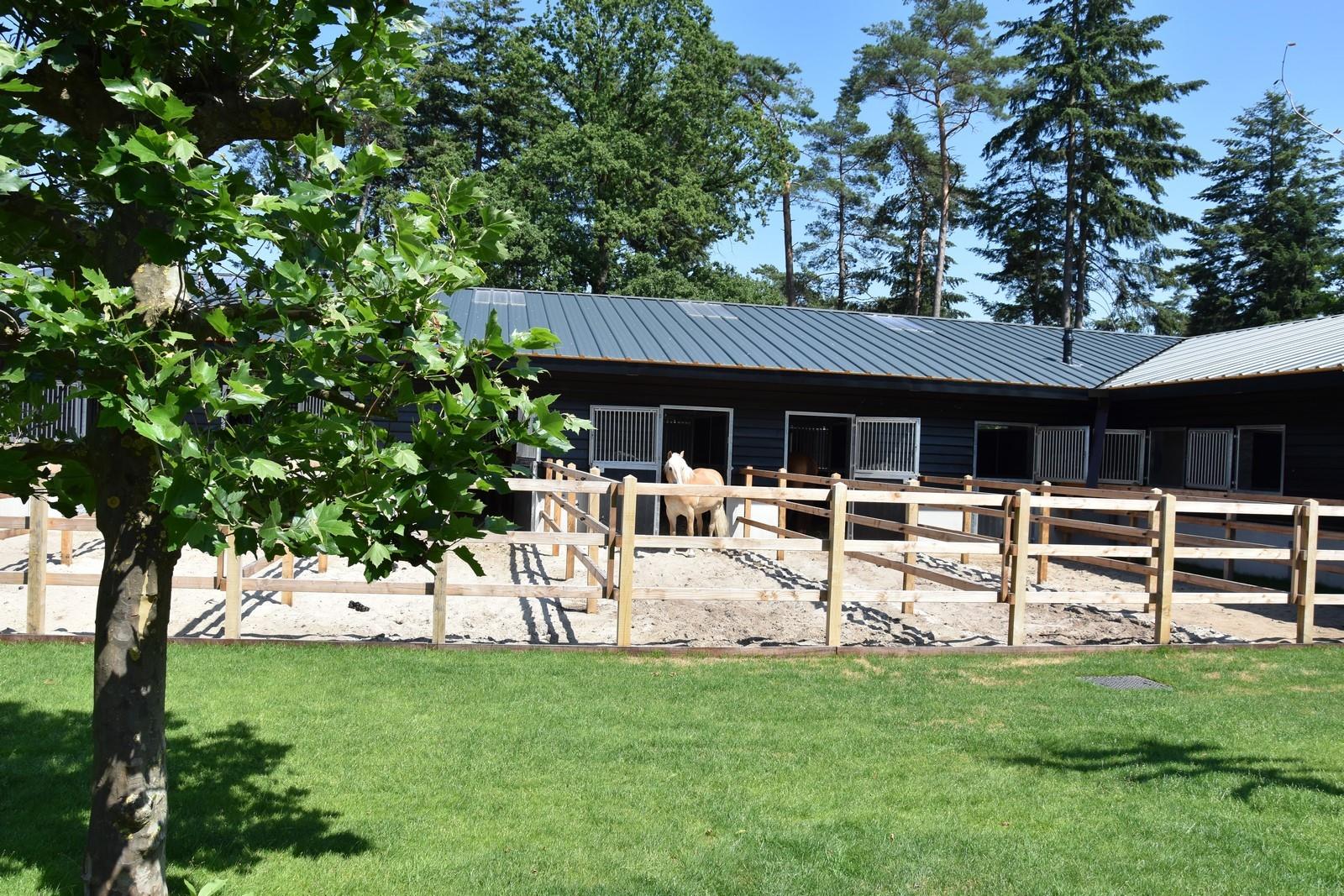 Camping Samoza - Gelderland - Image n°4 Camping Samoza - Gelderland - Image n°4