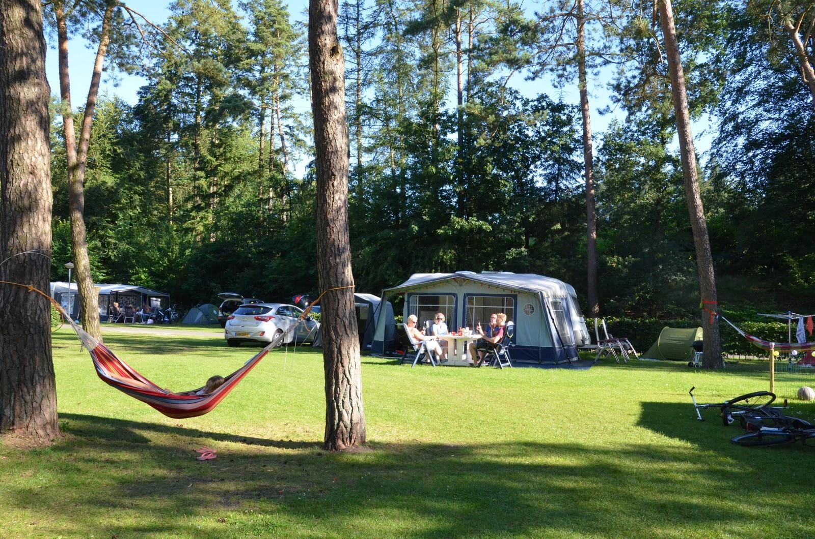 Camping Samoza - Gelderland - Image n°3 Camping Samoza - Gelderland - Image n°3