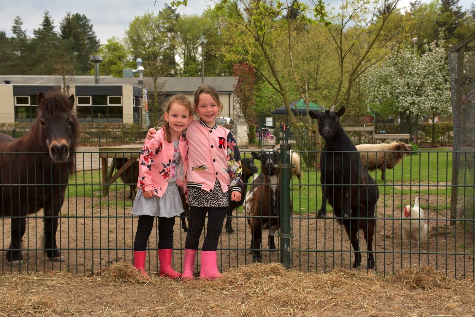 Camping Samoza - Gelderland - Image n°8 Camping Samoza - Gelderland - Image n°8