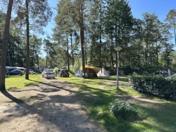 Stellplatz - Stellplats Komfort Leeuwerik - Camping Samoza