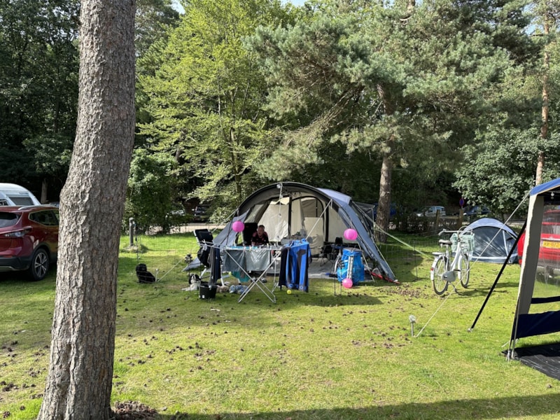 Camping Samoza photo 3