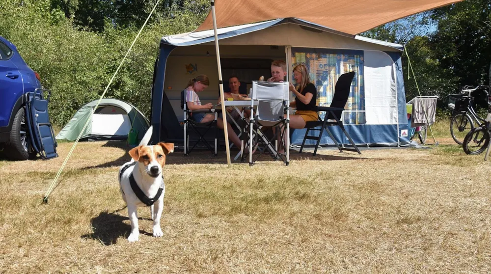 Stellplatz - Komfortplatz Mit Hund - Ommergras - Camping Ommerland