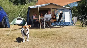 Stellplatz - Komfortplatz Mit Hund - Ommergras - Camping Ommerland