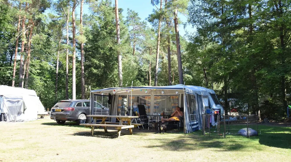 Stellplatz - Komfortplatz Mit Hund - Ommerhout - Camping Ommerland
