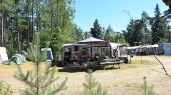 Stellplatz - Stellplatz Komfort Ommerberg - Camping Ommerland