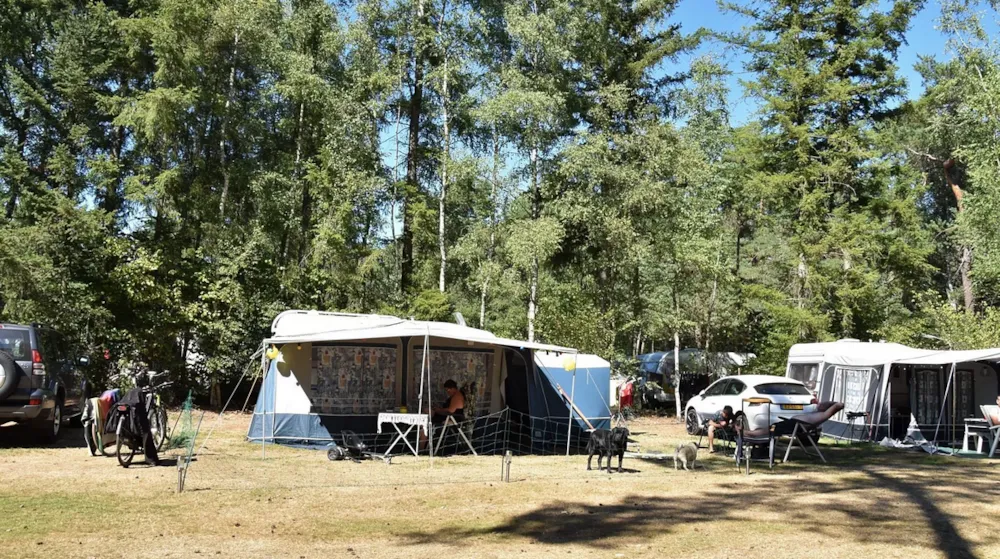 Stellplatz - Stellplatz Mit Hund Ommerbos - Camping Ommerland