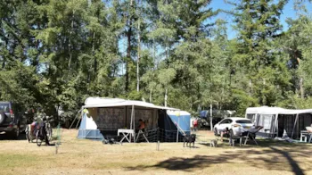 Stellplatz - Stellplatz Mit Hund Ommerbos - Camping Ommerland