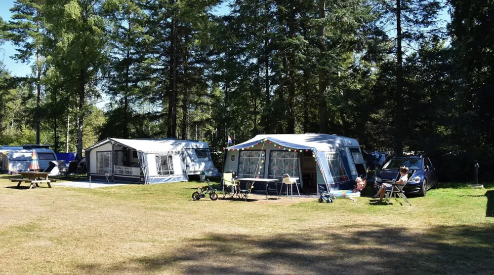 Stellplatz - Stellplatz Mit Hund Ommerhout - Camping Ommerland