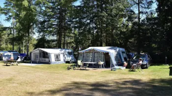 Stellplatz - Stellplatz Mit Hund Ommerhout - Camping Ommerland