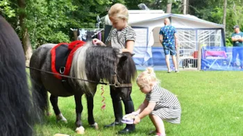 Stellplatz - Ponyplatz Mit Hund Ommerhout - Camping Ommerland