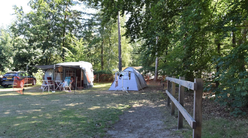 Vakantiepark Ommerland photo 3