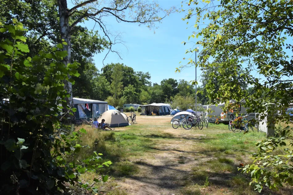 Camping Ommerland